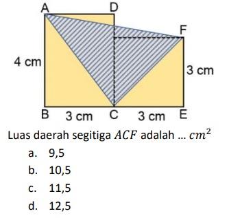 c6dec7b4-8b08-501d-2a57-839cc2267e6f.jpg