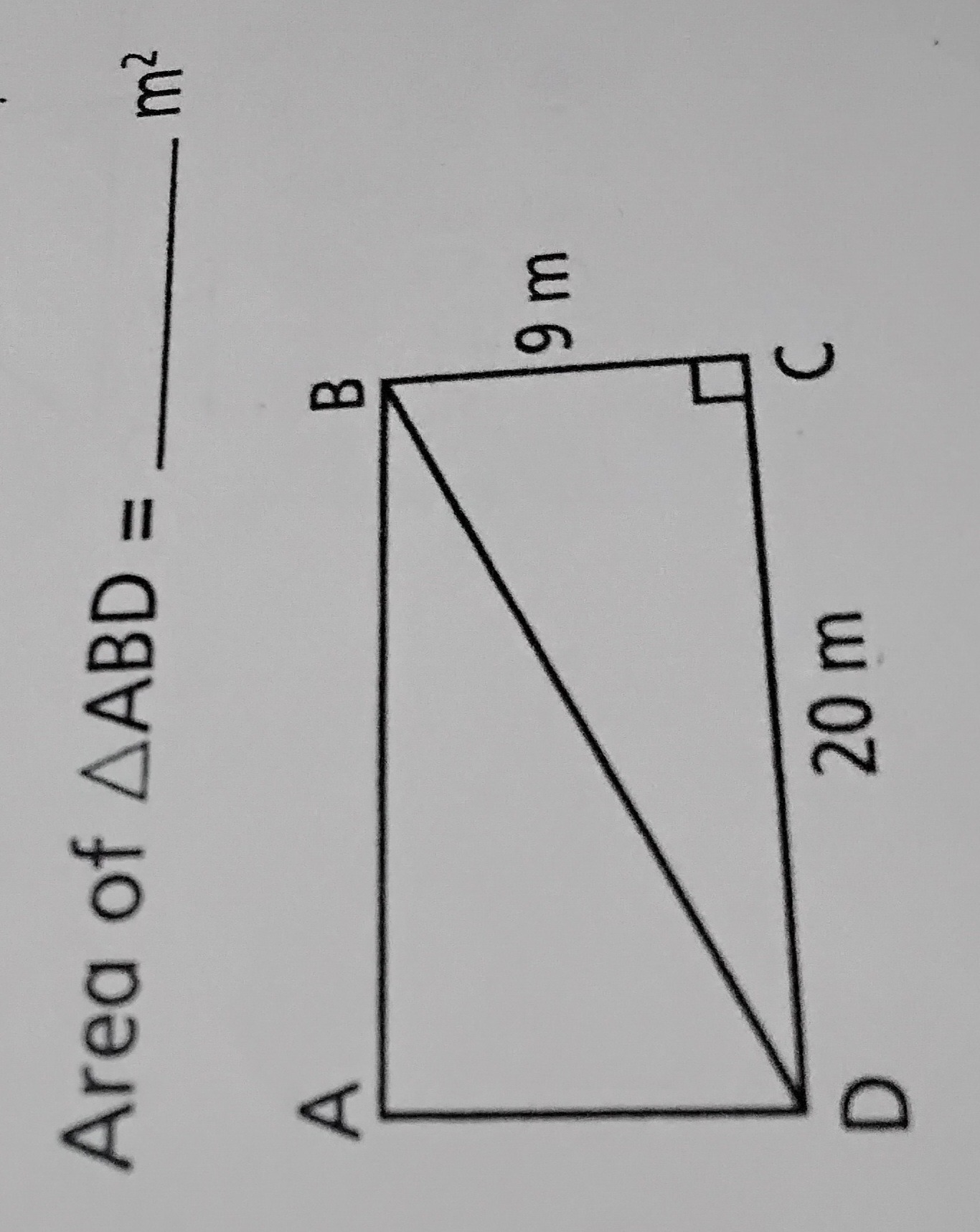 0a4c873d-7c04-1a93-18ec-8c262581d74c.jpg