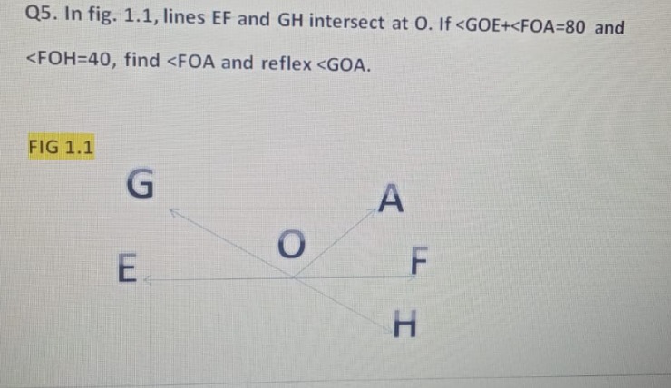 2e3dfa1e-4fc1-7439-8caa-a50934833d7a.jpg