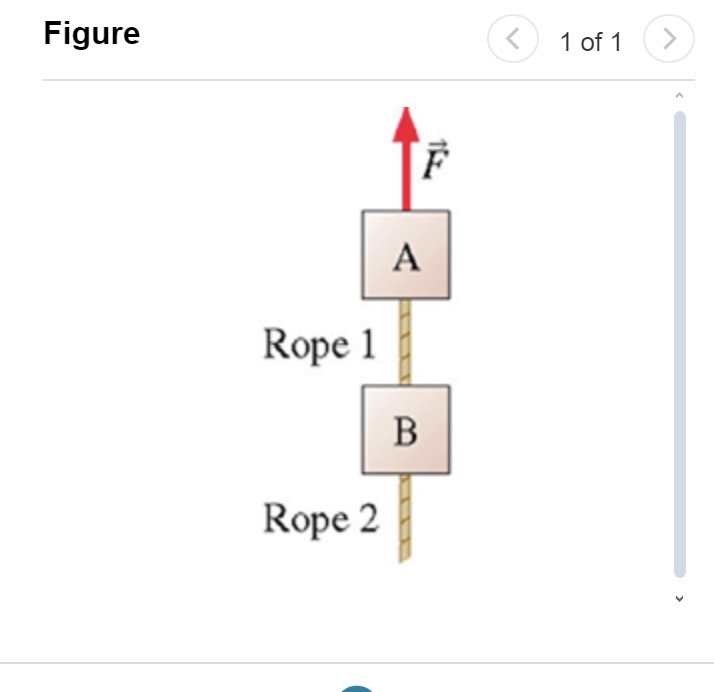 1660e98b-80a3-d5d3-056a-baf2465f01c1.jpg