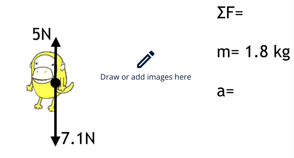 7502b8b3-c88e-b15e-a29f-aa09793cb0b8.jpg