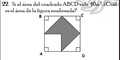 036cdd50-87a1-ed62-3092-47ed203d0576.jpg