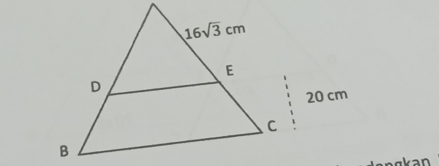 9d34b13f-1af1-aa5a-22bf-4966c2cec289.jpg