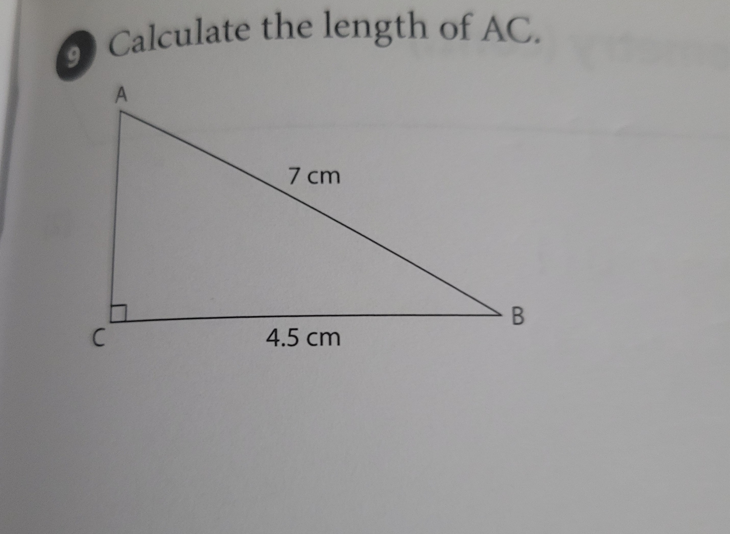 a40efb24-1b08-ded1-23b7-e2acf9f62743.jpg