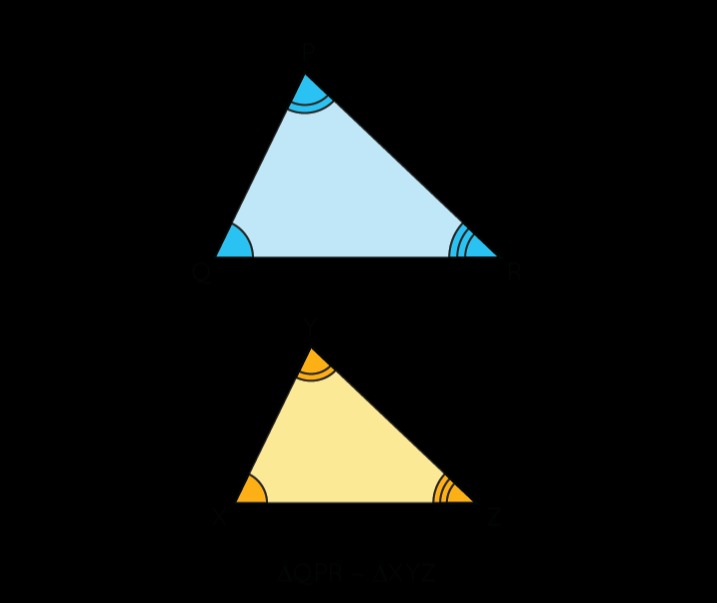 dc6012f1-6df2-3a92-8769-3d1ddf79cdcb.jpg