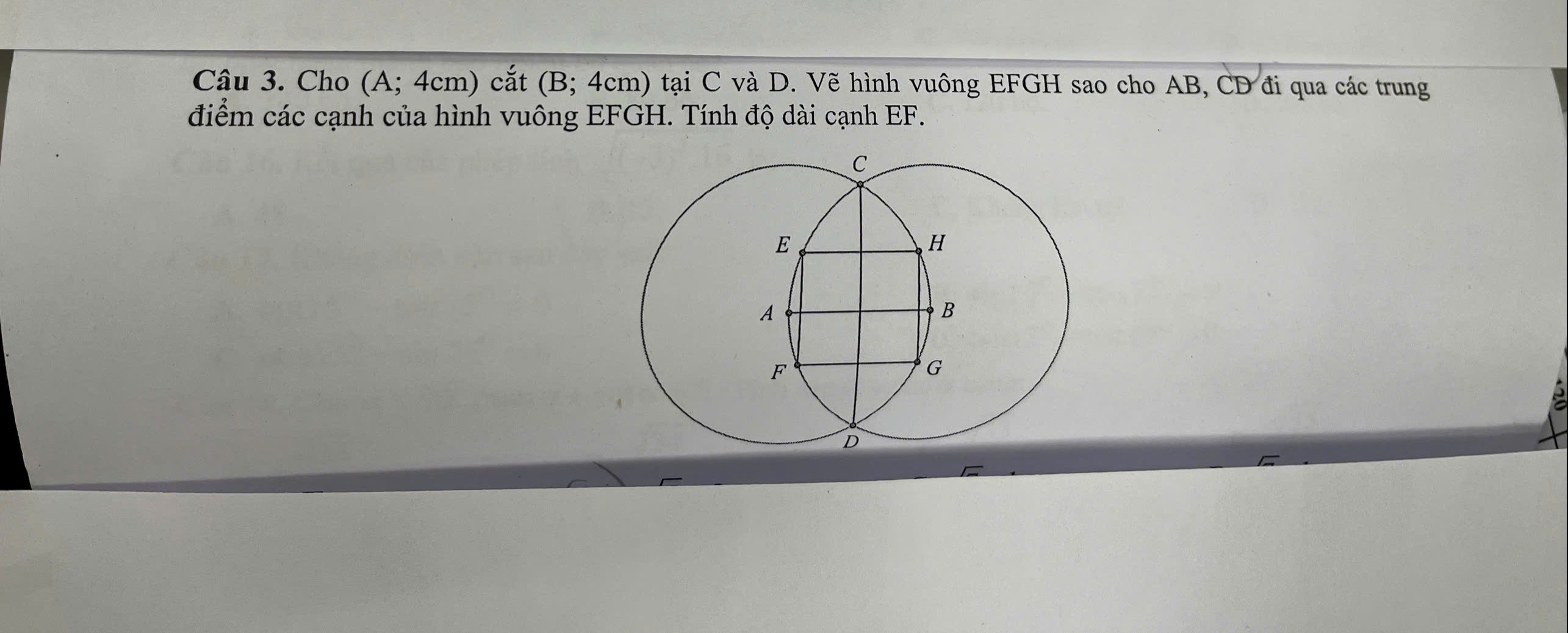 d1bc2d0a-ac1f-3d37-c2ea-1e593ad19c4f.jpg