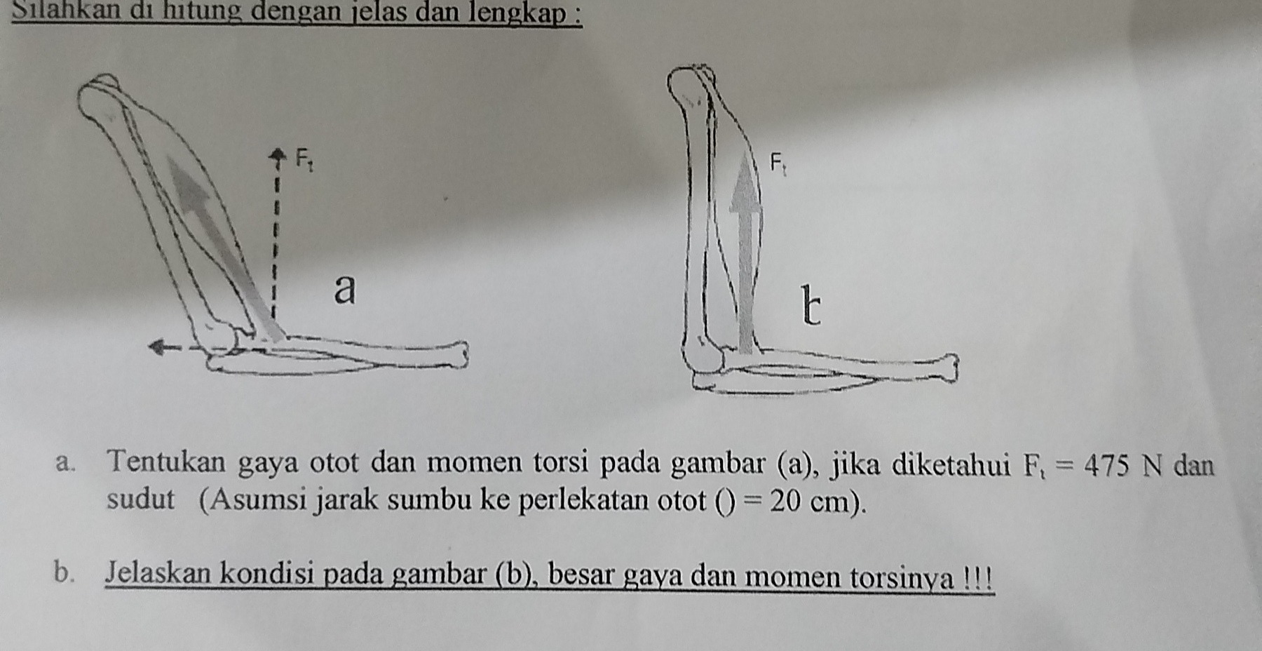 d3acd12f-e336-b54a-26fa-d6389079913d.jpg