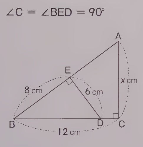 65371cc5-1f88-dda7-94d2-d6d1ced090ec.jpg