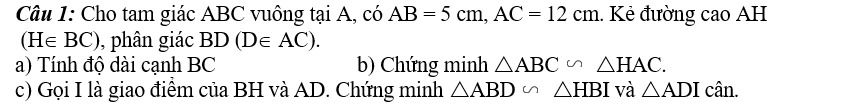 cb35c217-cbf7-bb19-0fb3-b4cc3fe55f7d.jpg