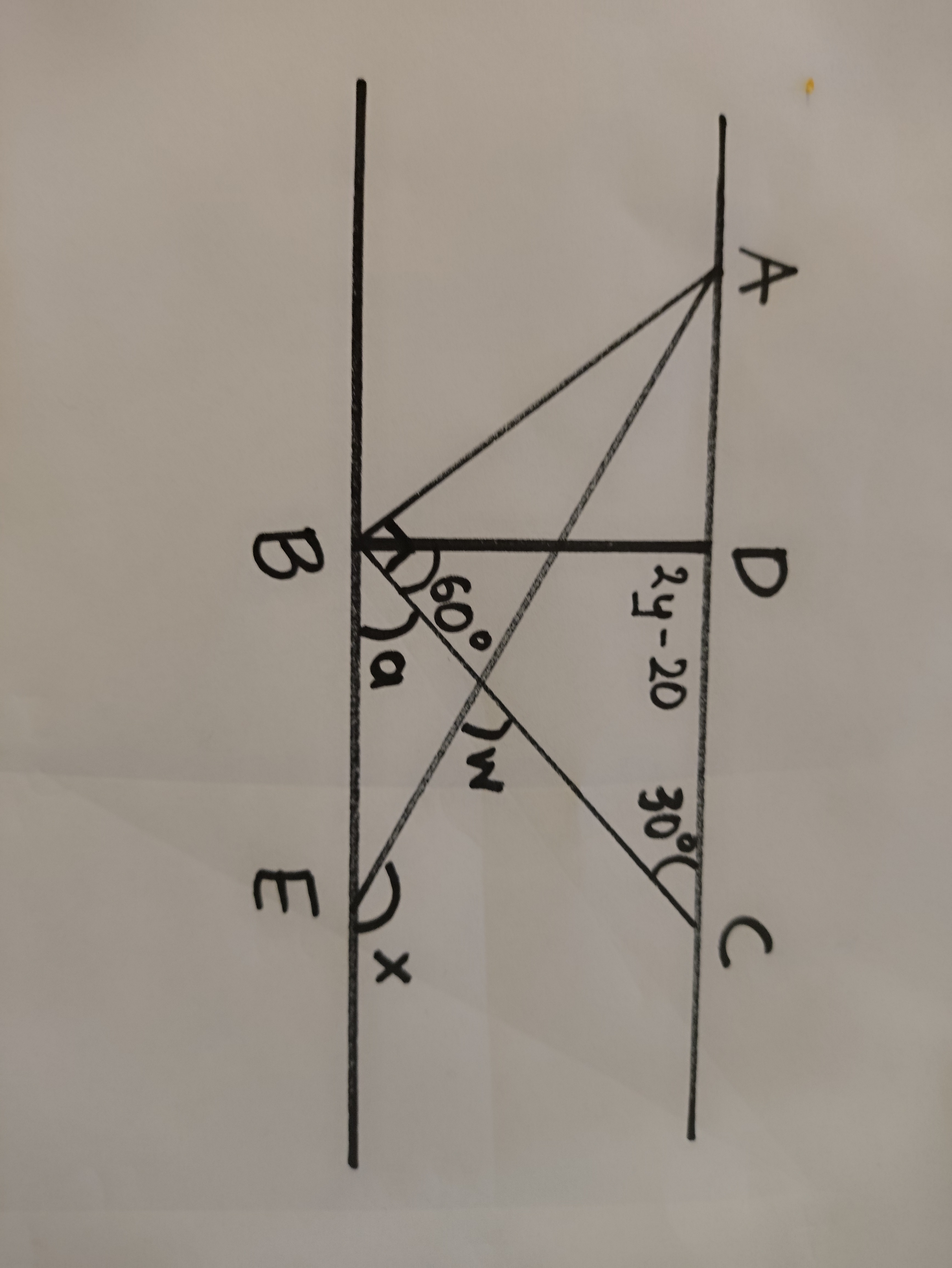 dff90019-d150-9c71-d71e-1a85e00732b7.jpg