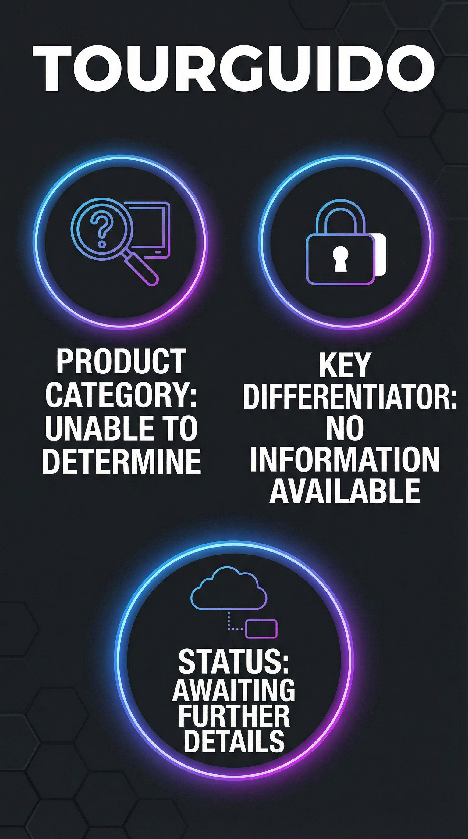 Tourguido - Infographic