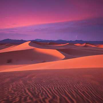 Desert Dreams