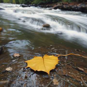 Herbsttraum