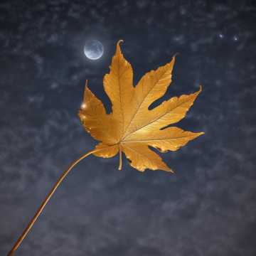 Herbstwind im Herzen