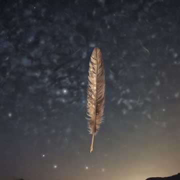 Feather in the Storm