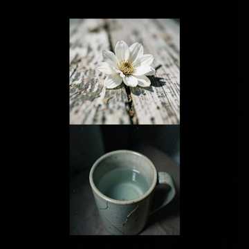 Default Logo