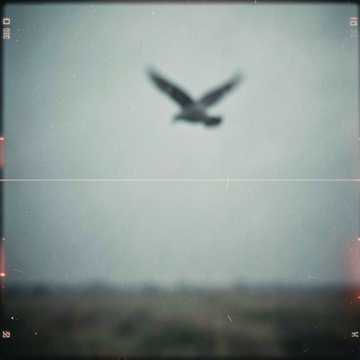 Default Logo