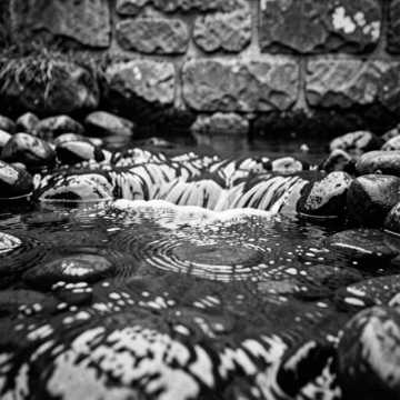 Default Logo