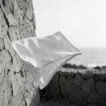Default Logo