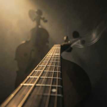 Default Logo