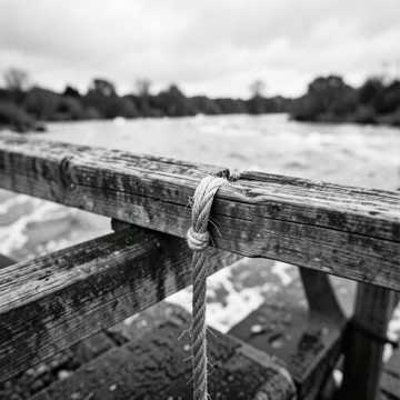 Default Logo