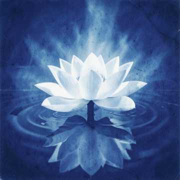 Default Logo