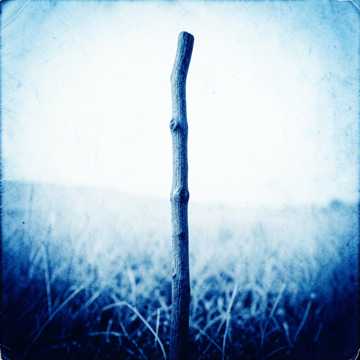 Default Logo