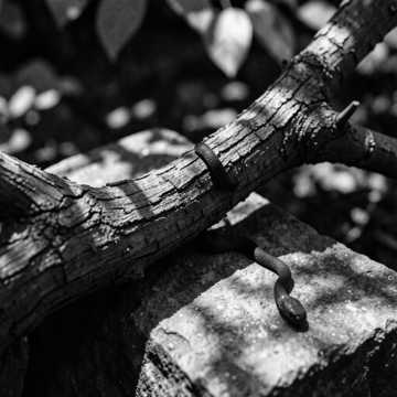Default Logo