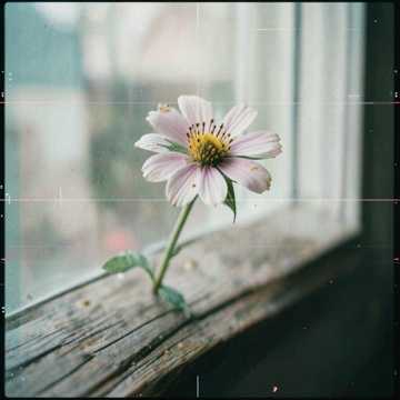 Default Logo