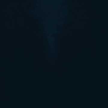 Default Logo