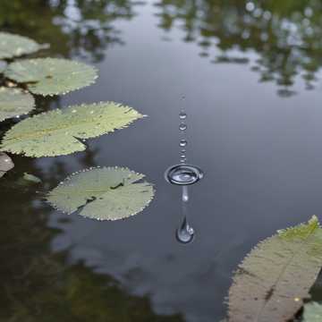 雨那首