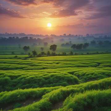 Bangladesh 