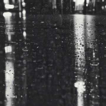 Rainy Reflections