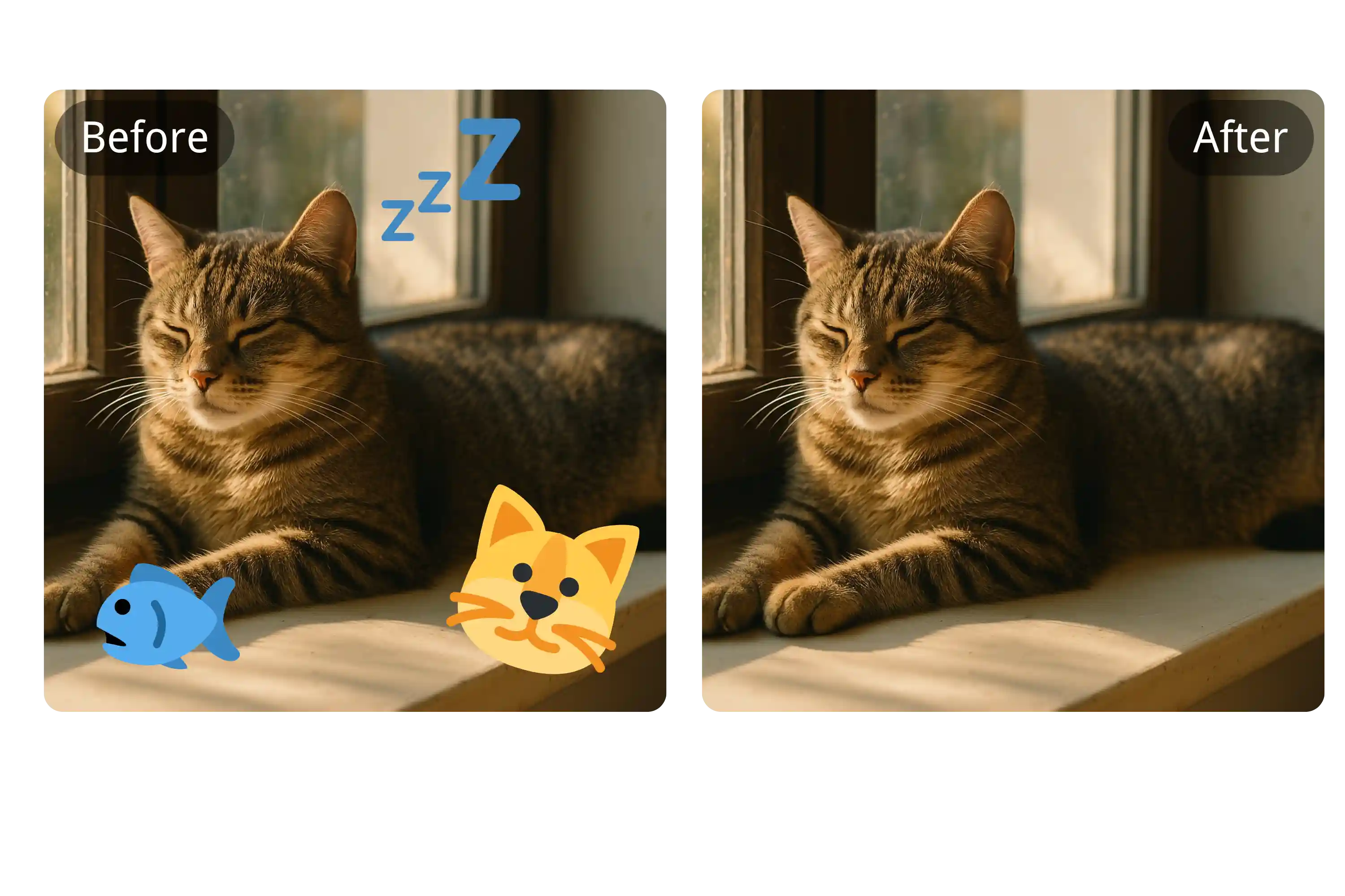 Original image