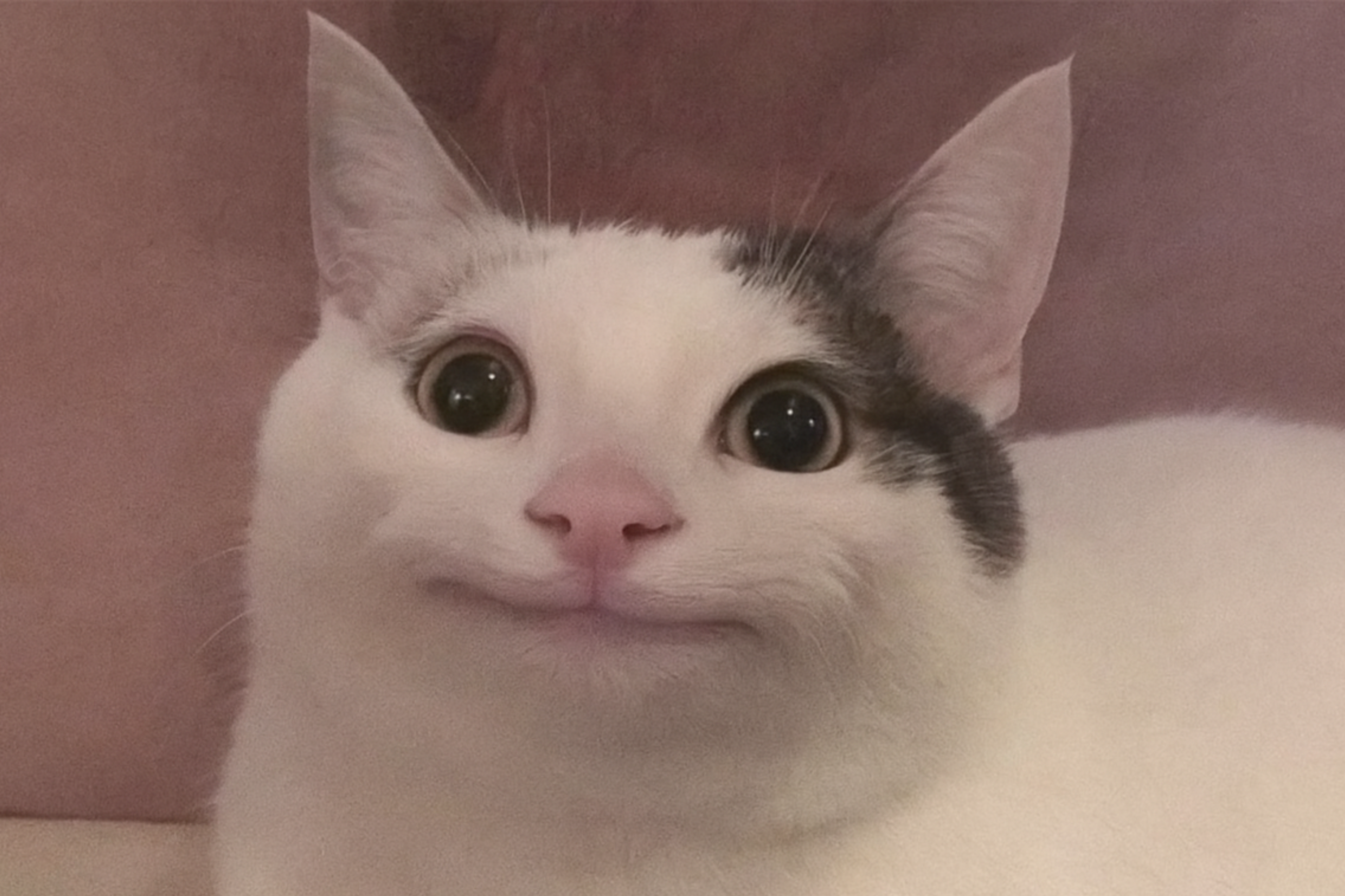 ai-meme-generator sample 2