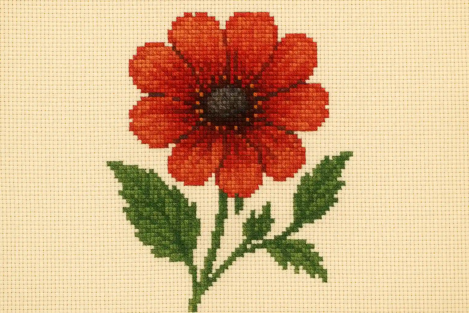 Original image