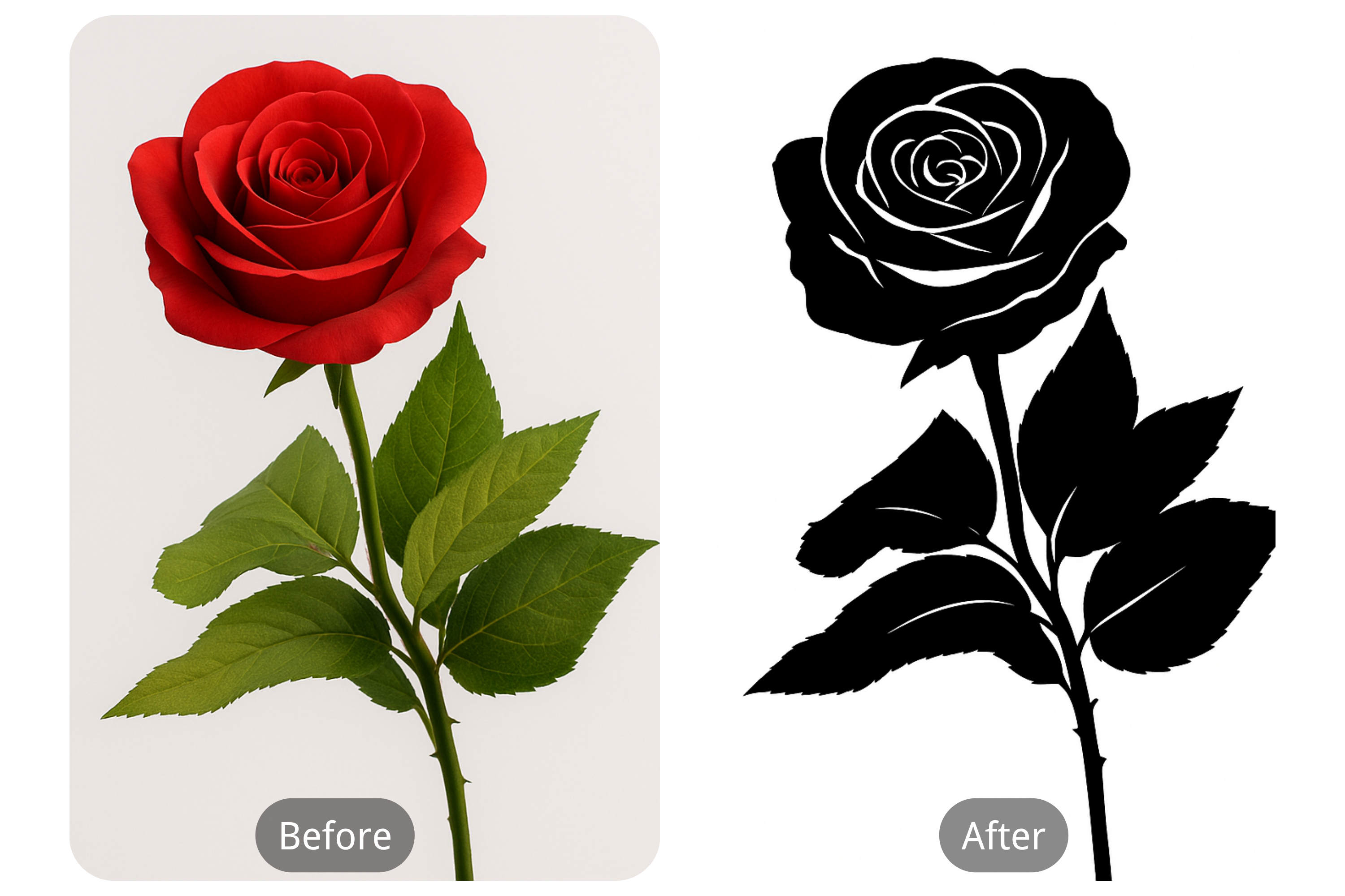 Converting Photos into Precise Tattoo Stencils