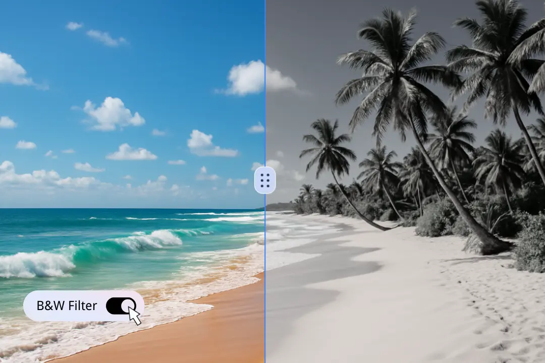 One-Click Image to Black and White Conversion
