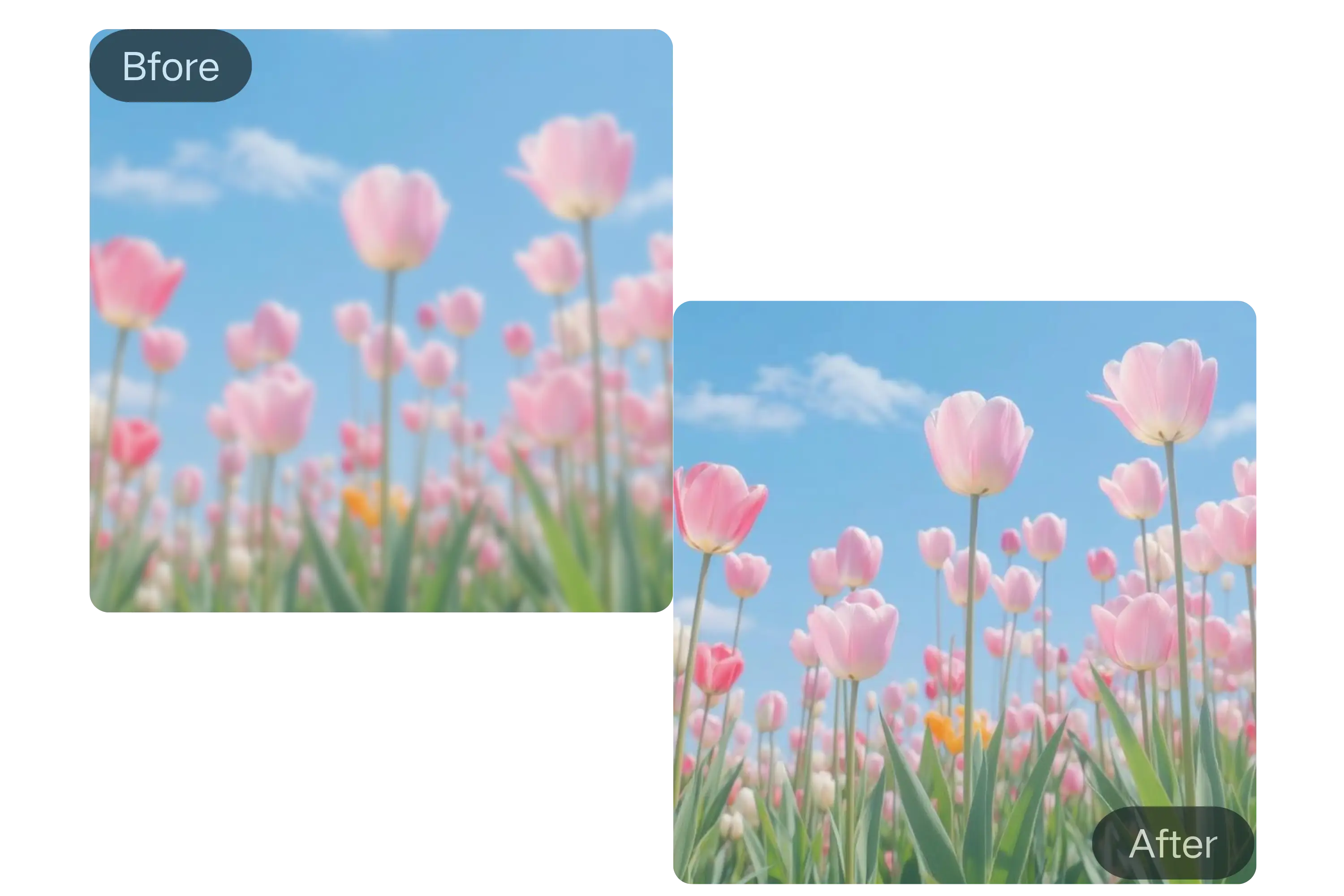 Corrige Fotos Borrosas al Instante con IA
