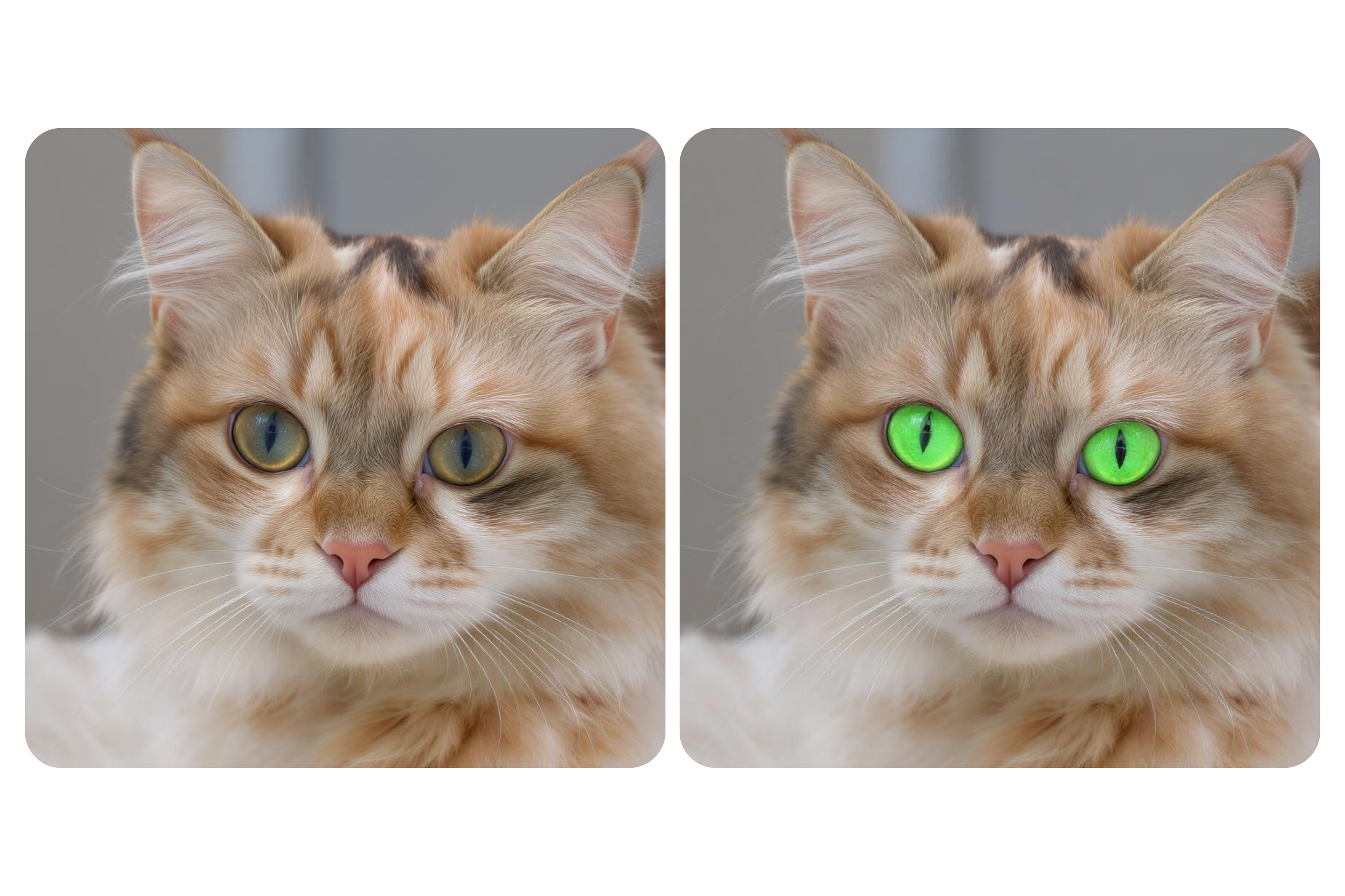 Give Your Pets New Eye Colors