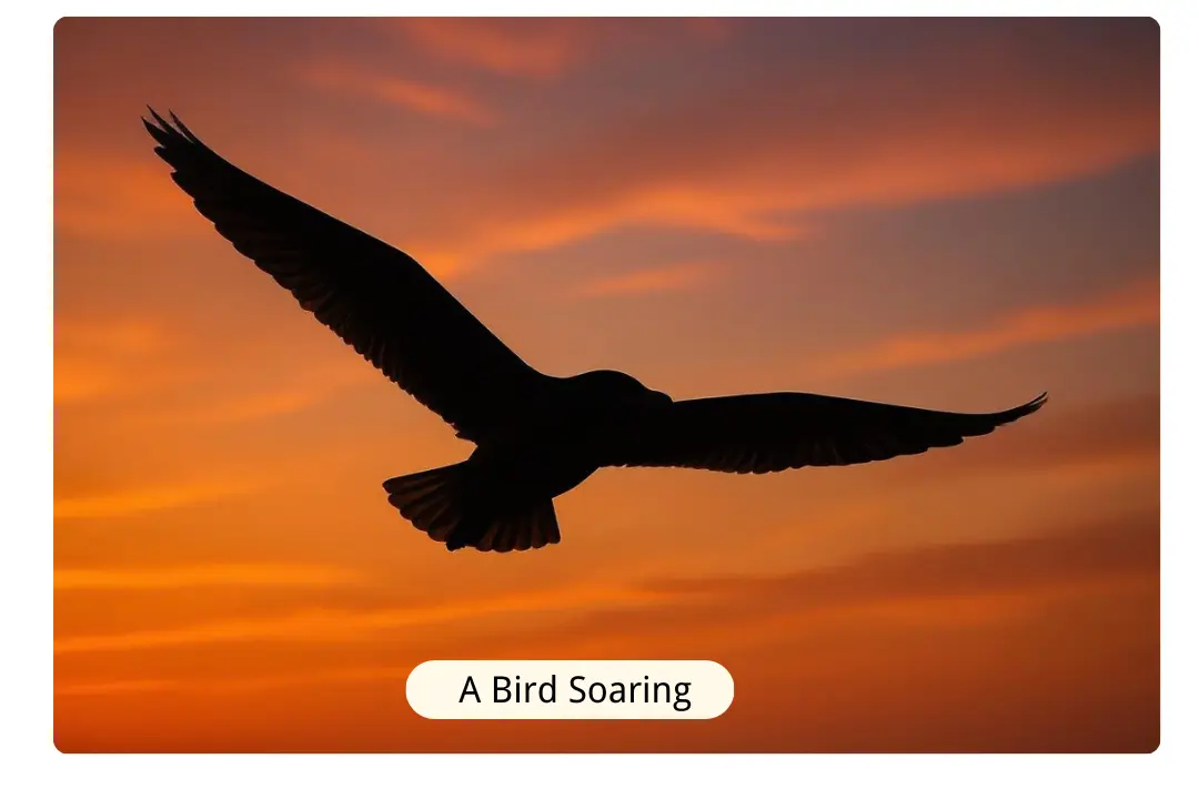 Create Silhouettes from Text Descriptions with the AI Silhouette Maker