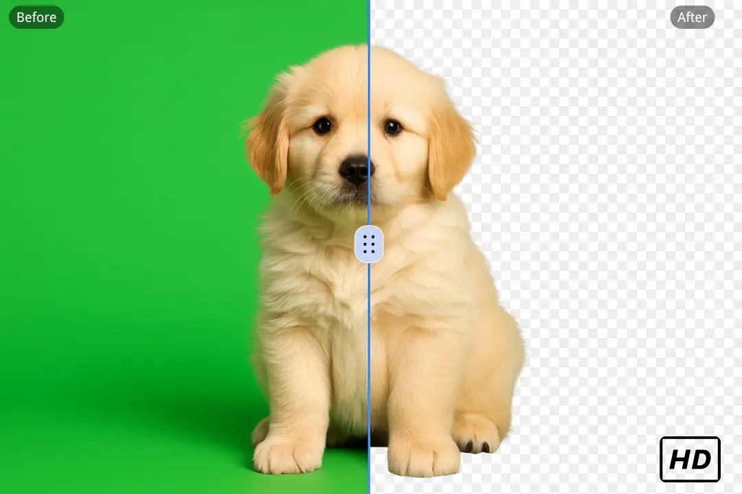 Quick Remove BG for Instant Results