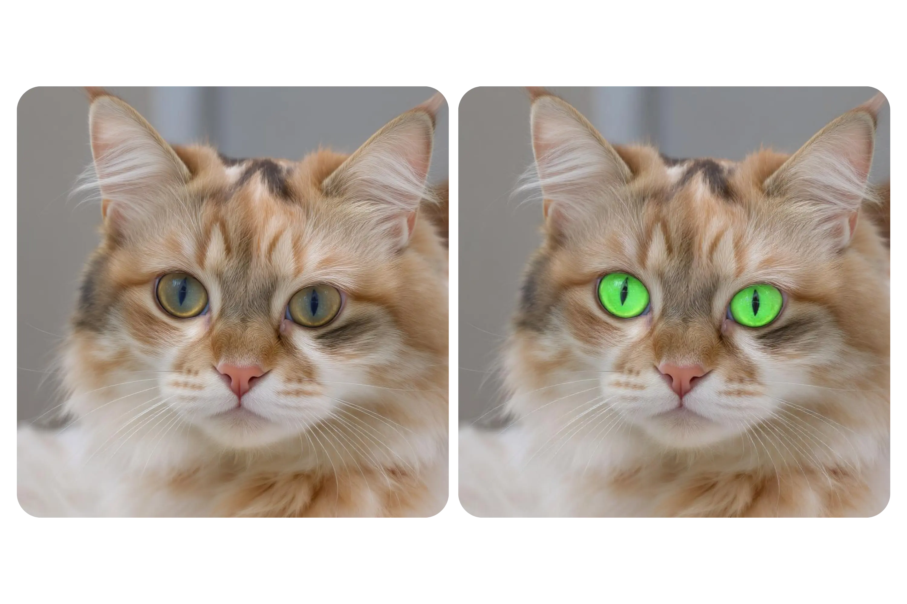 📷 Enhance Portraits with Eye Color Correction