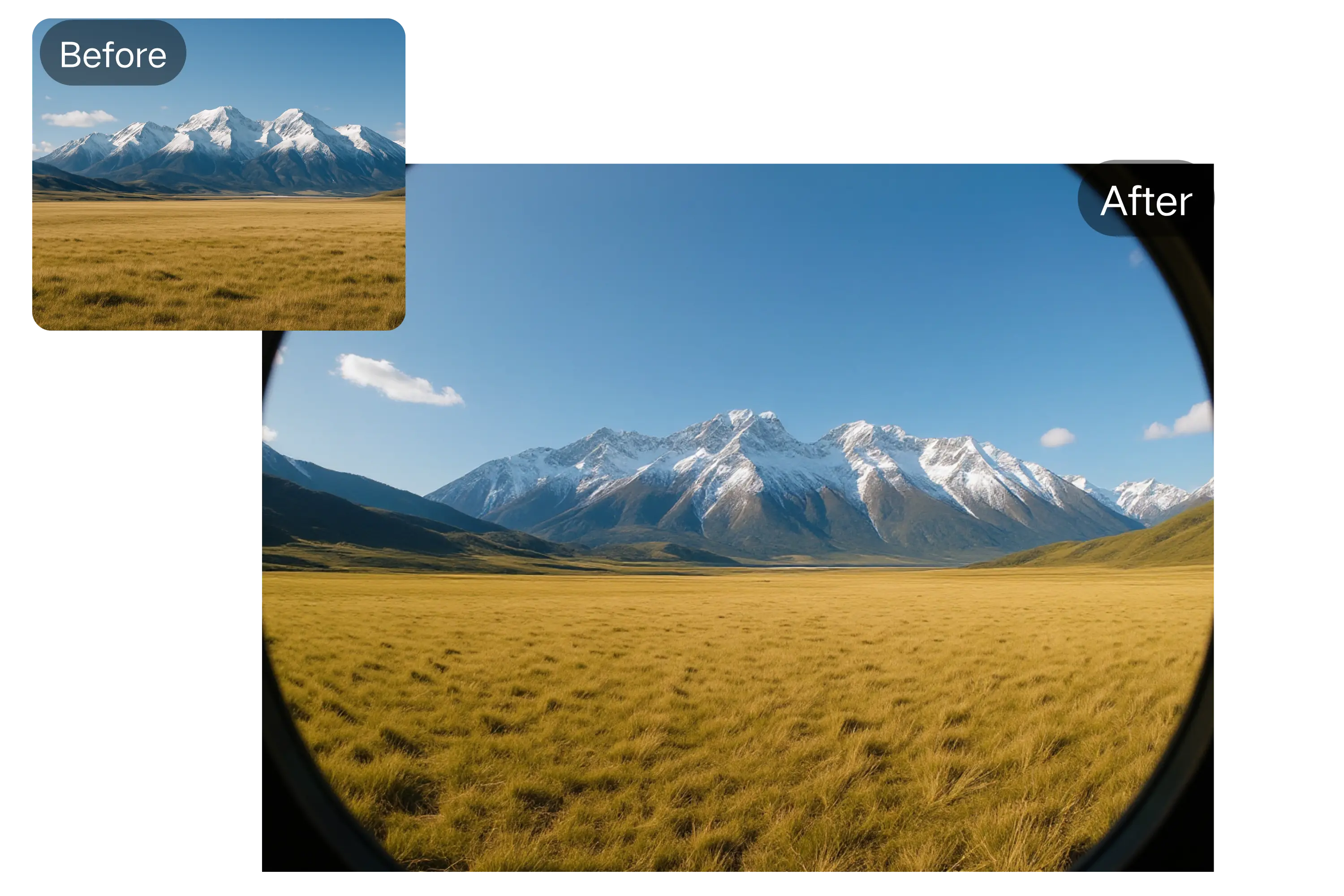 Live Warp Window: 