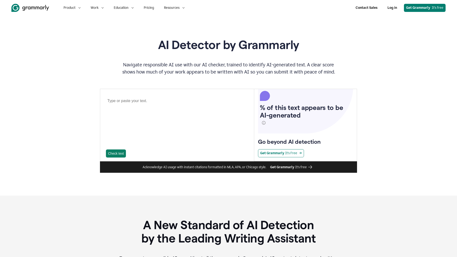 Grammarly AI Checker